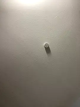 MoneyedOverlap live sex cam