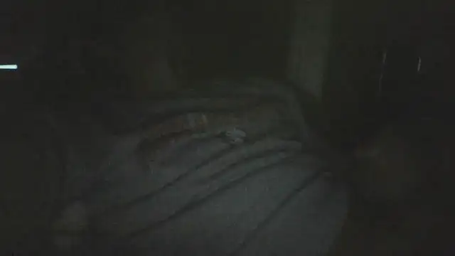 BIG-CkD_F live sex cam