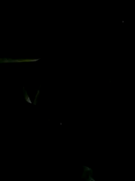 ngan-cute's cam snapshot