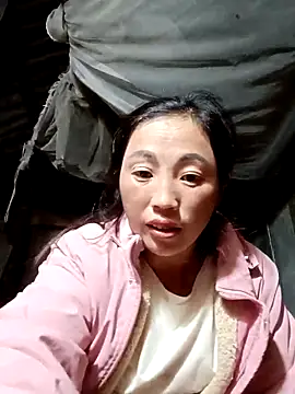 seacyre's cam snapshot