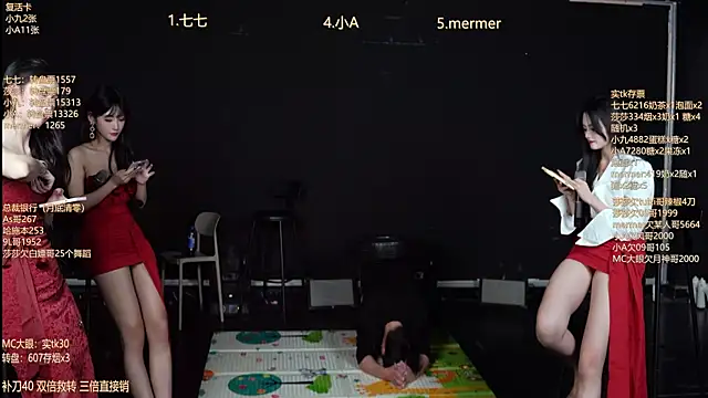 SK010's cam snapshot