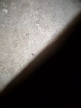 sexy__girls98's cam snapshot