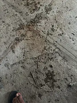 ONestark's cam snapshot