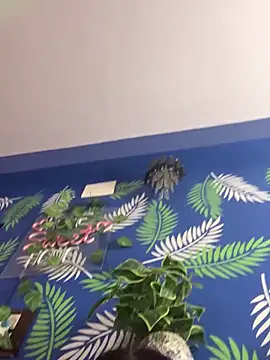 V-Hot-Sweti live sex cam