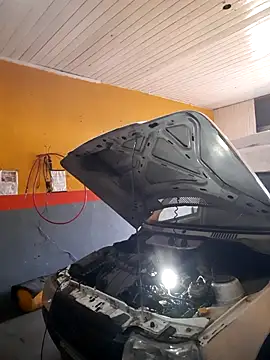 hecwil8 live sex cam