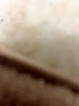 Biteenormedu31 live sex cam