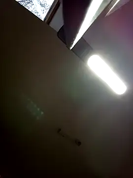 Ami_Foxy's cam snapshot