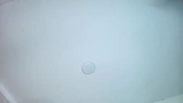 sophiax-x live sex cam