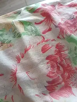 rafasemau's cam snapshot