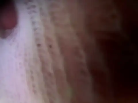 Luna88-'s cam snapshot