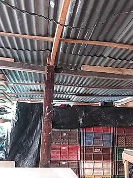 hoteder's cam snapshot