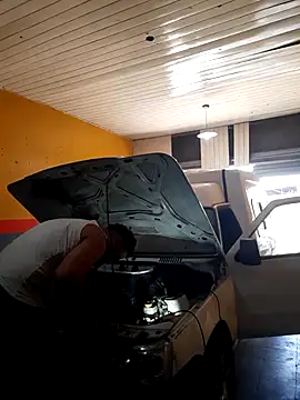 hecwil8 live sex cam