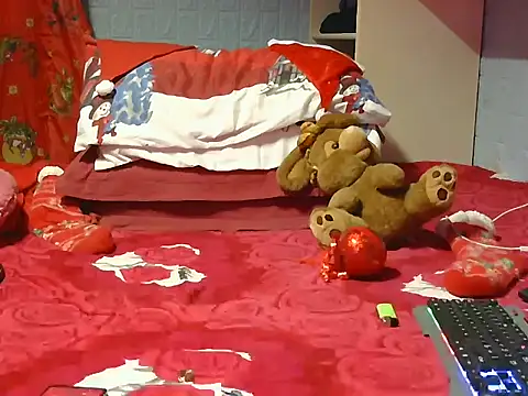 Pintiliescu's cam snapshot