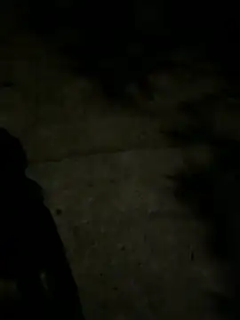 BeChinh_Lee live sex cam