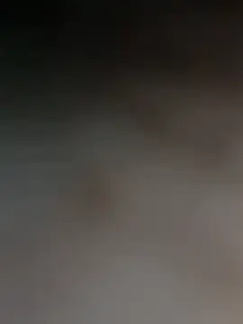 moasslicker's cam snapshot