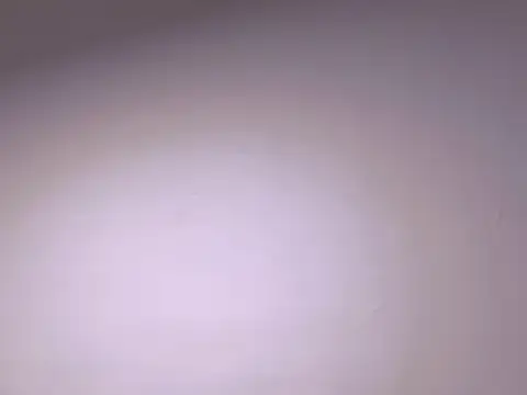 venus_and_masterboy live sex cam