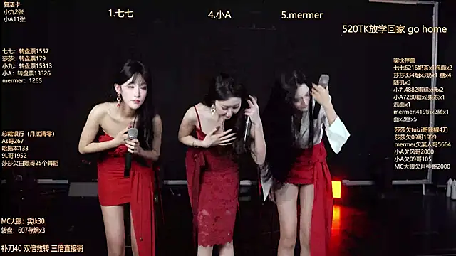 SK010's cam snapshot