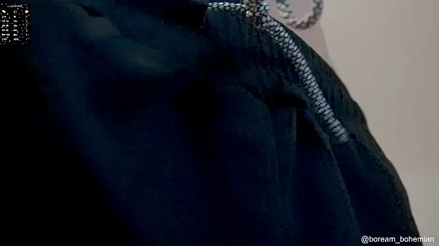 boream's cam snapshot