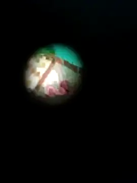 Khusbu77A's cam snapshot