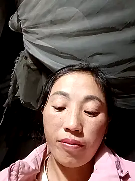 seacyre's cam snapshot