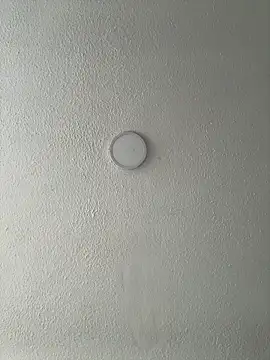 Salome_golvert's cam snapshot