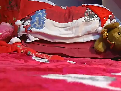 Pintiliescu's cam snapshot