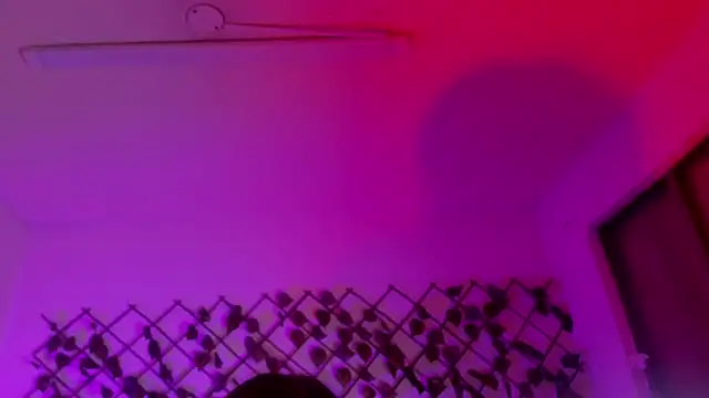 Dark_Niight_'s cam snapshot