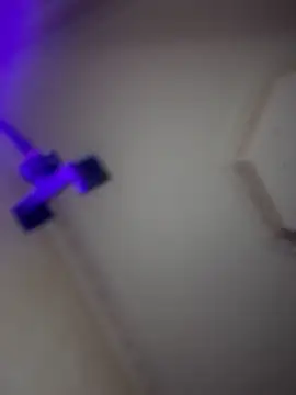 Doctoor-Maya's cam snapshot