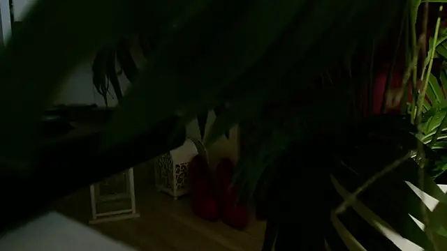 Imcarrieberry's cam snapshot