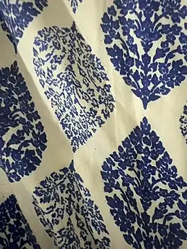 shreyas79's cam snapshot