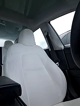 Roddog18 live sex cam