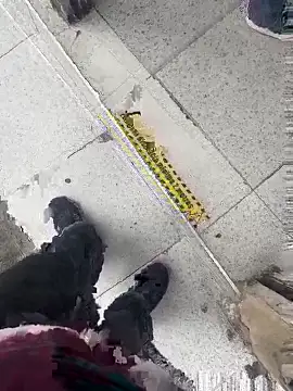 Boyxcock7 live sex cam