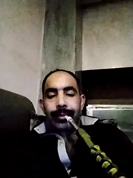 salimbasha live sex cam