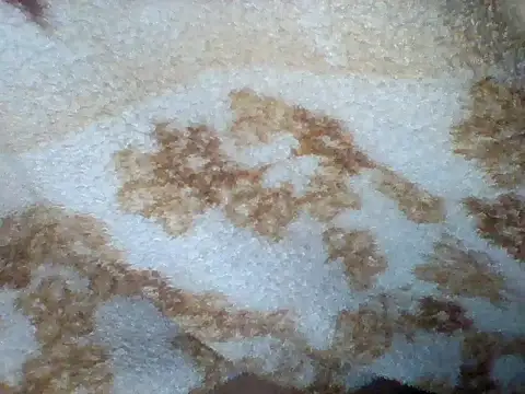 Sneha_nehu's cam snapshot