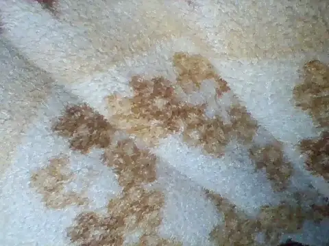 Sneha_nehu's cam snapshot