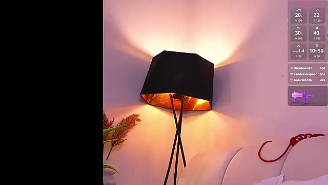 VallieBrandwein's cam snapshot