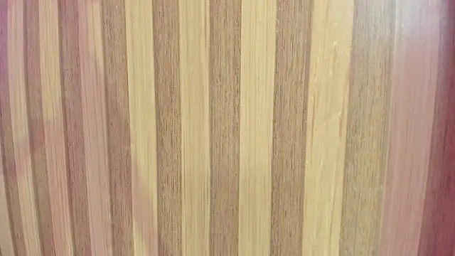 Malory__Jones's cam snapshot