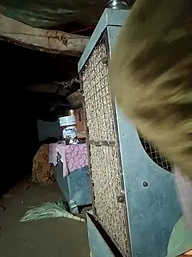 Lona2525 live sex cam