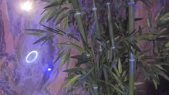 Alahia_Dangelo's cam snapshot