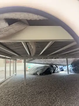 PuerBetulaa's cam snapshot