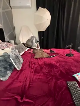 krysstal003 live sex cam