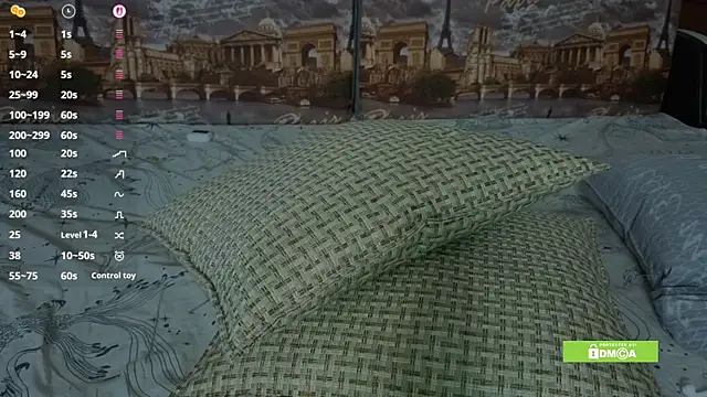 linavox's cam snapshot