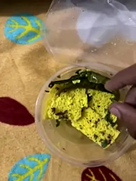 satisfyursoul live sex cam