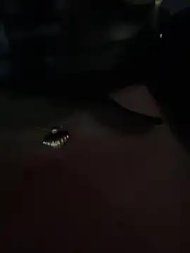 Karina_Leon live sex cam