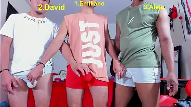 roomies_ live sex cam