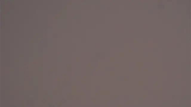 EsmaCarll's cam snapshot