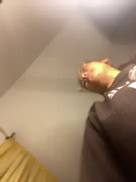 baby_lizy's cam snapshot