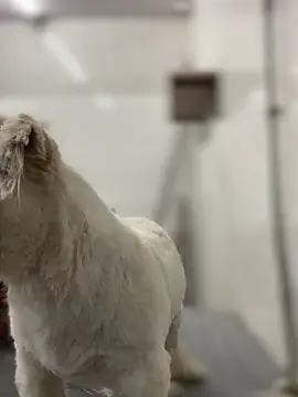 Vickybon's cam snapshot