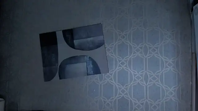 NiklasRavn's cam snapshot