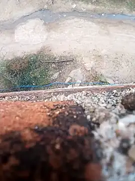 Babita_hotmom live sex cam